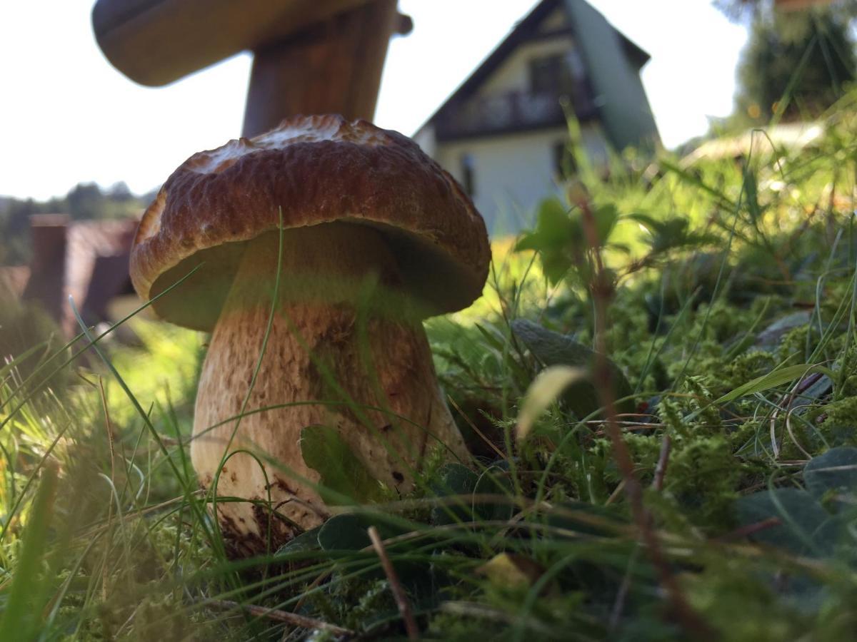 Cerla Korbielów Kültér fotó